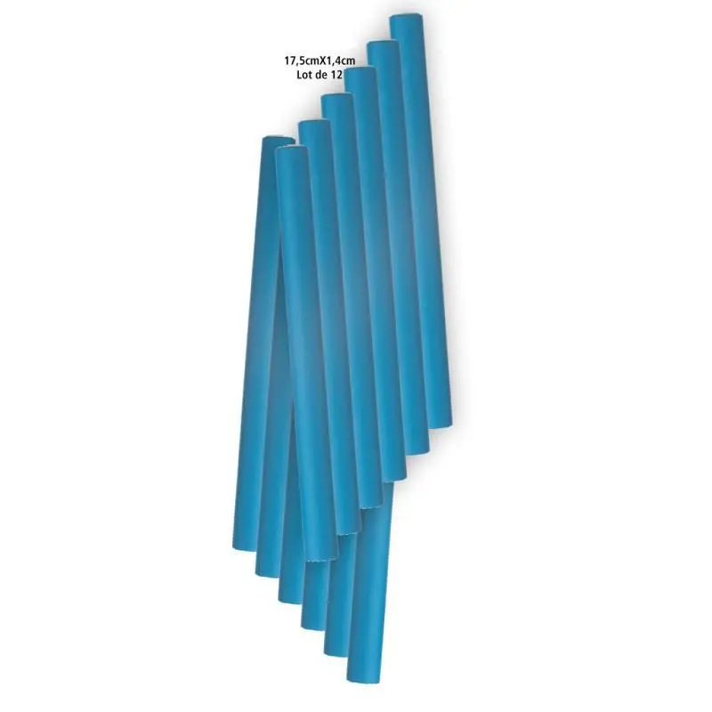 12 Bigoudis flexibles Flexirods
