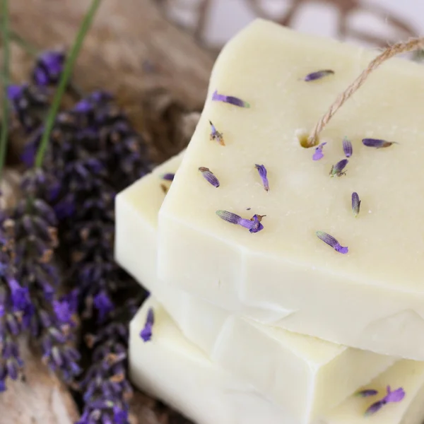 Savon Shampoing Solide BIO Simply Calm - Raw Roots - Image 4